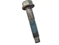 Intake Manifold Bolt Set 12550027 GMC