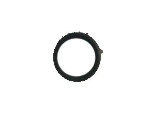 Кольцо уплотнительное Кунцево НШ x(0)x 55558112 DAEWOO