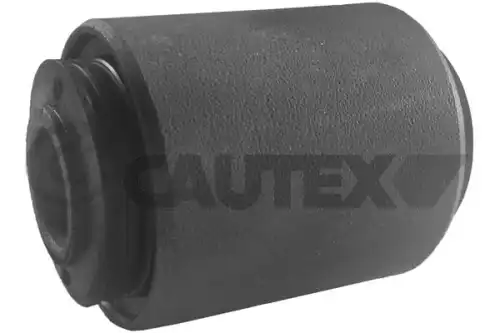 Рычаг подвески CAUTEX 020326