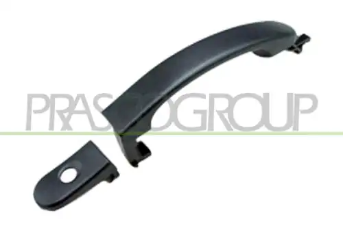 Ручка двери PRASCO FD3508008