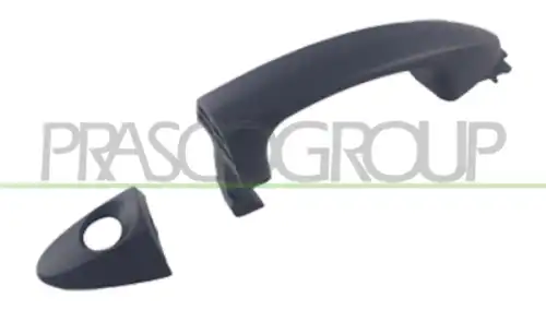 Ручка двери PRASCO FD3448004