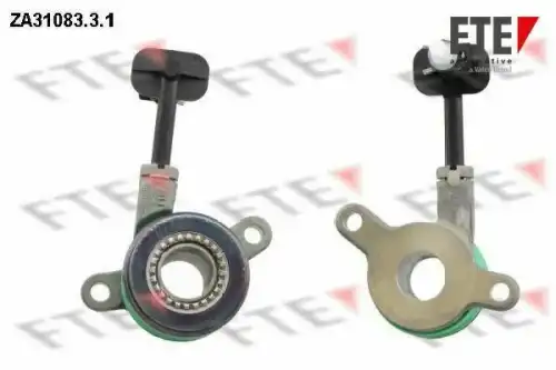 FTE ZA3108331