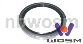 Сальник B211 WOSM