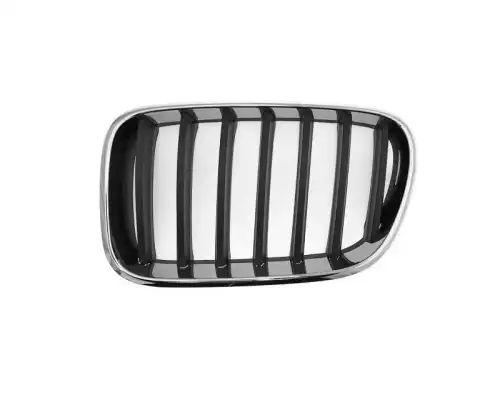 Решетка радиатора TYG BM07068GAL