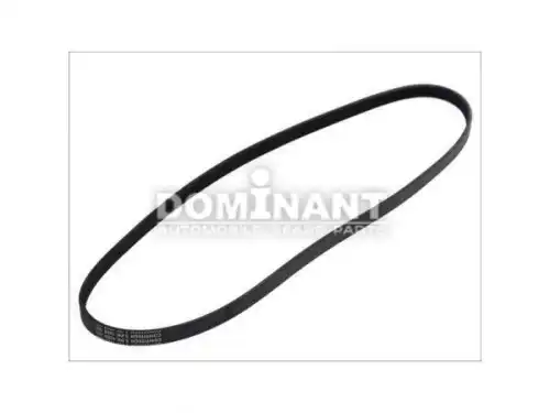 DOMINANT OP63400640