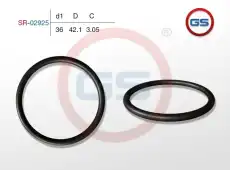 Резиновое кольцо SR-02925 GS