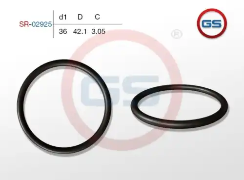 Резиновое кольцо SR-02925 GS