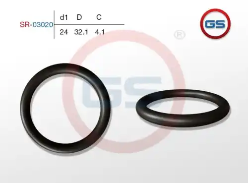 Резиновое кольцо 24 4.1 SR-03020 GS