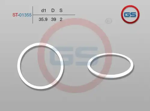  Тефлоновое кольцо ST-01355 GS