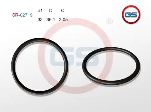  Резиновое кольцо SR-02719 GS