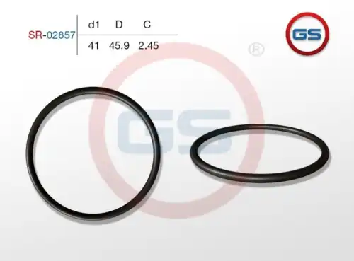  РЕЗИНОВОЕ КОЛЬЦО SR-02857 GS