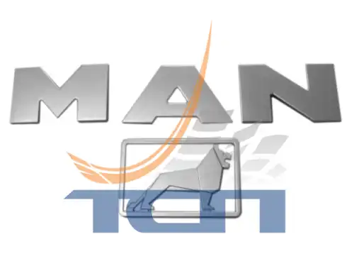 Эмблема T330017 TSP