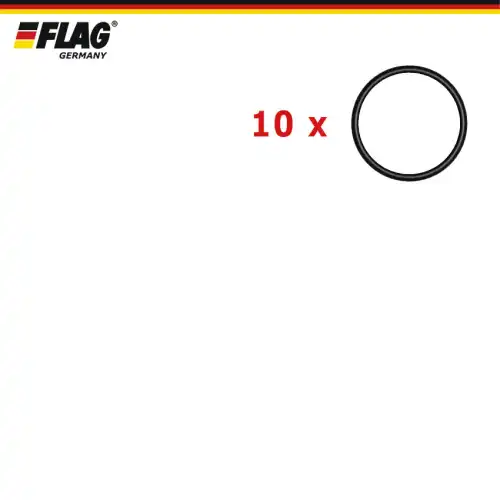 810249 810249 flag (5855-30FP) CR кольцо уплотнительное (22,5х1,5)