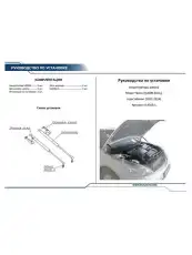 Амортизатор капота RIVAL A.4109.1