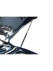 Амортизатор капота RIVAL A.ST.4114.1