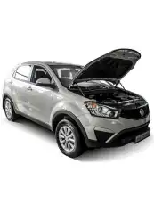 Амортизатор капота RIVAL A.ST.5301.1