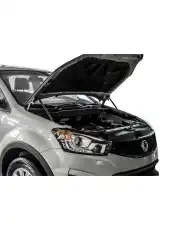 Амортизатор капота RIVAL A.ST.5301.1