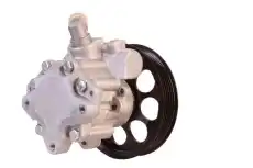 Насос гидроусилителя руля DRI 715520095
