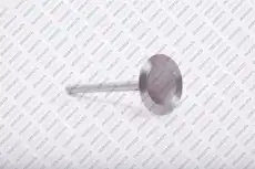 Клапан впускной UDW9N92184 UKORAUTO