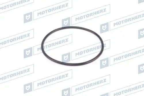Кольцо рулевой рейки HR0101 MOTORHERZ