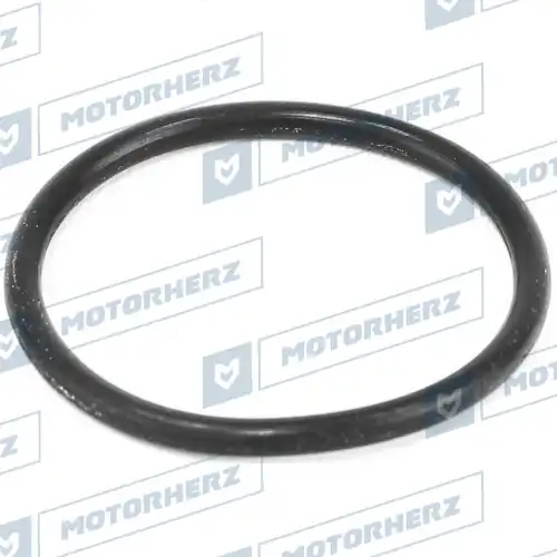 Кольцо рулевой рейки !d18x1.05 \ HR0242 MOTORHERZ