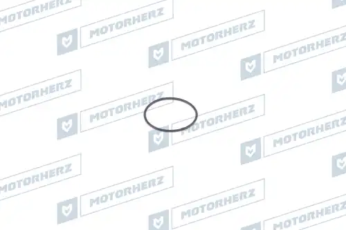Кольцо рулевой рейки !d21x1.05 \ HR0245 MOTORHERZ