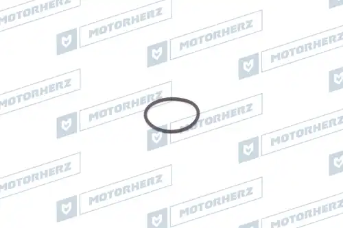 Кольцо рулевой рейки HR0282V MOTORHERZ