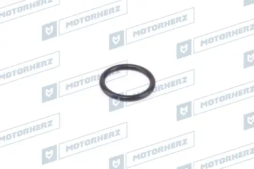 Кольцо рулевой рейки !d24x3.05 \ HR0458 MOTORHERZ