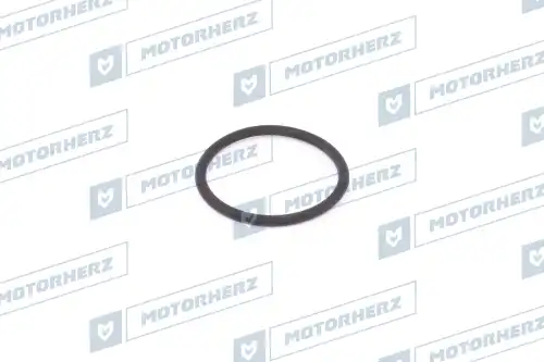Кольцо рулевой рейки !d37x3.05 \ HR0473V MOTORHERZ