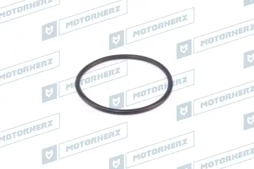 Кольцо рулевой рейки !3.05/50 \ HR0482 MOTORHERZ