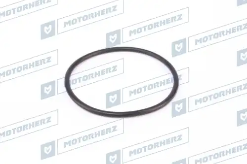 Кольцо рулевой рейки !3.05/57 \ HR0486 MOTORHERZ