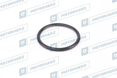 Кольцо рулевой рейки !d44x4.1 \ HR0544 MOTORHERZ