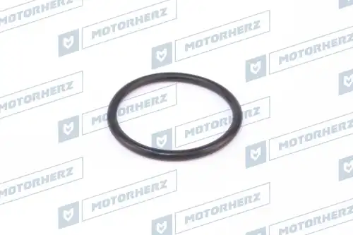 Кольцо рулевой рейки HR0545 MOTORHERZ