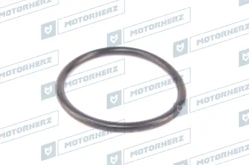 Кольцо рулевой рейки !d47x4.1 \ HR0547 MOTORHERZ