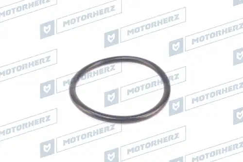 Кольцо рулевой рейки HR0548 MOTORHERZ