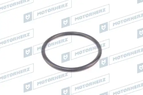 Кольцо рулевой рейки HR0551 MOTORHERZ