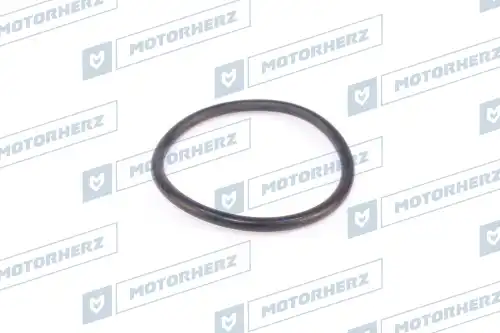 HR0555 Кольцо рулевой рейки MOTORHERZ