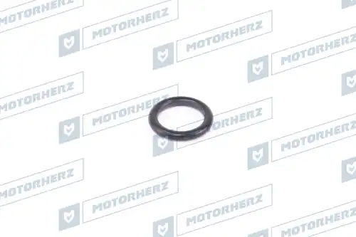 Кольцо рулевой рейки !d19x4.1 \ HR0616 MOTORHERZ