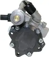Насос гидроусилителя руля MOTORHERZ P1272HG