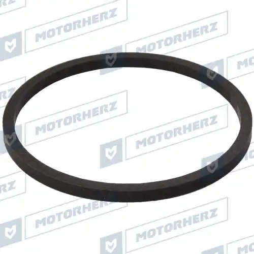 HTZ0372 Тефлон рулевой рейки MOTORHERZ