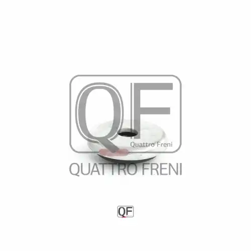 Кольцо уплотнительное автомобильное QUATTRO FRENI QF53A00009