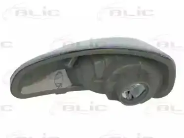 Side mirror indicator 540304053105C BLIC