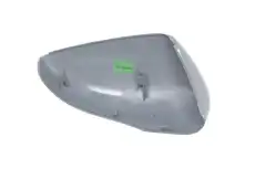 Корпус наружного зеркала 6103092002111P BLIC