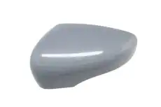 Корпус наружного зеркала 6103092002111P BLIC