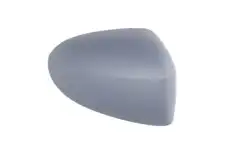 Корпус наружного зеркала 6103092002206P BLIC