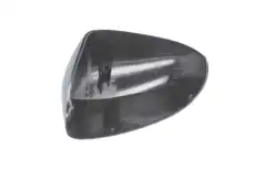 Корпус наружного зеркала 6103092002206P BLIC