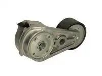 Натяжитель ремня B0501020 BTA