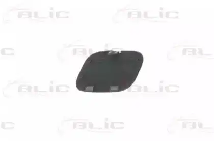 Элементы бампера 5513002029920P BLIC