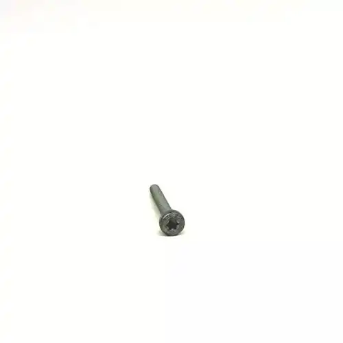 LENS-HEAD SCREW N 10470703 PORSCHE