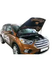 Амортизатор капота RIVAL A.ST.1806.1